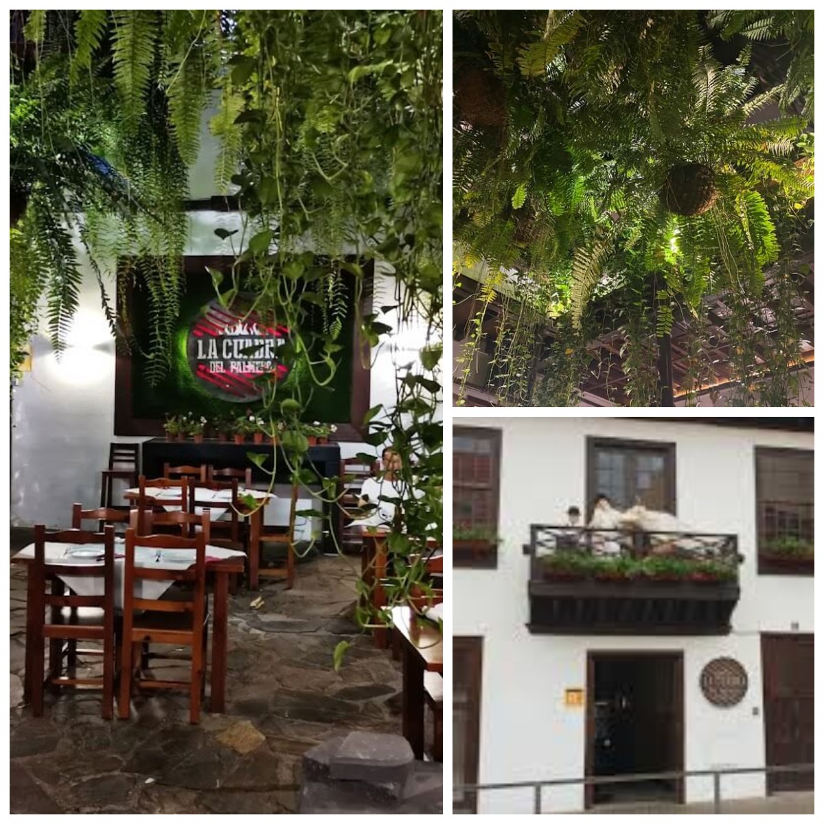 Cuadra del Palmero Santa Cruz de Tenerife