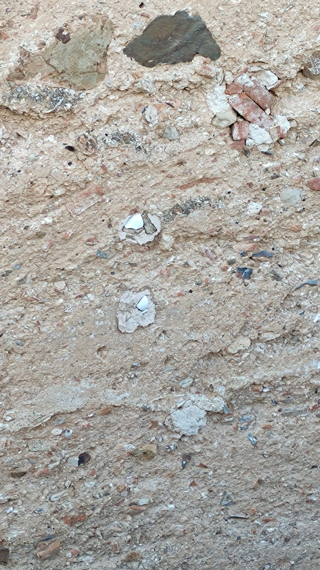Fragmentos óseos Cáceres