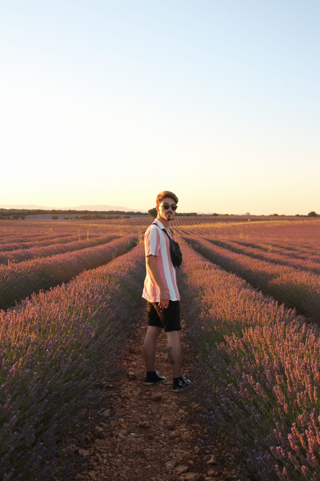 PlanDviajero en los Campos de Lavanda de Brihuega, Guadalajara