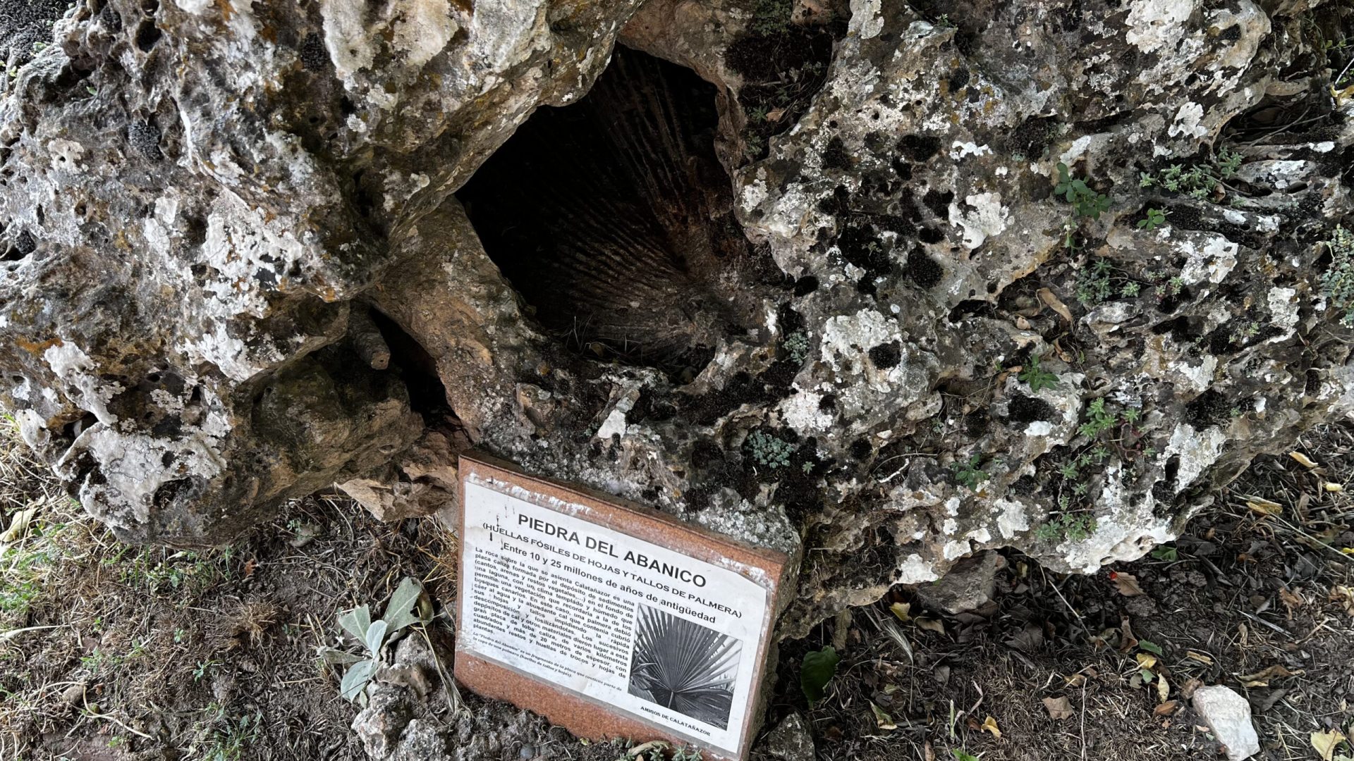 Piedra Abanico