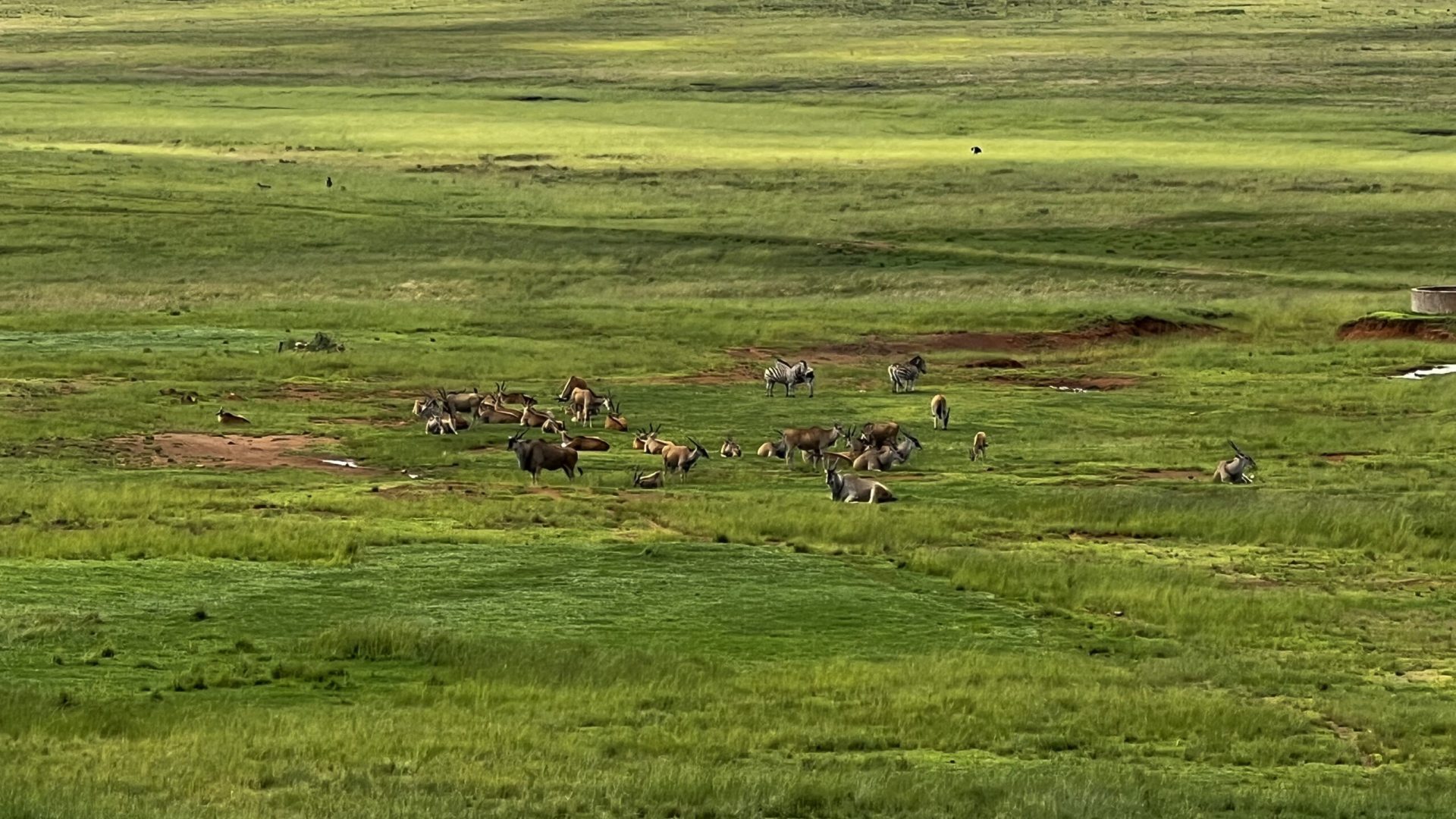 Área de descanso