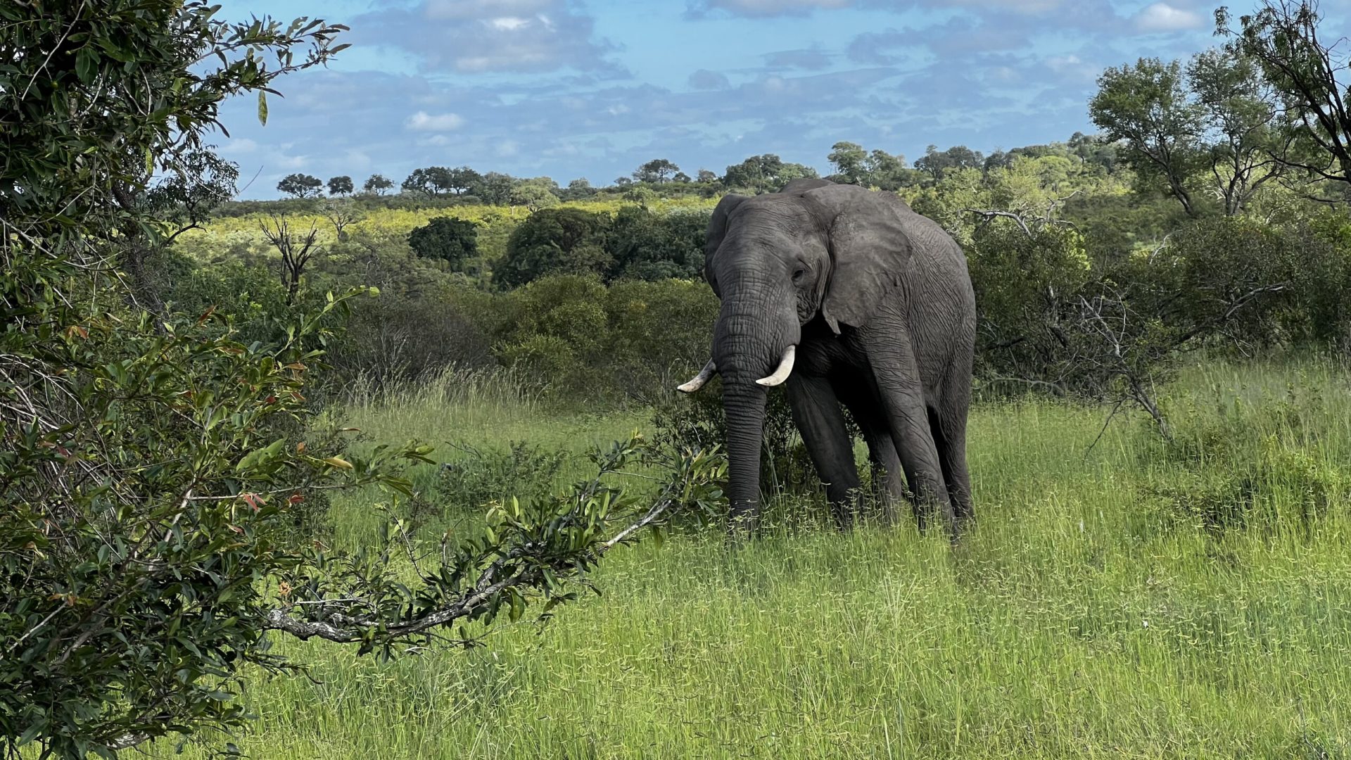 Parque Nacional de Kruger, Sudáfrica