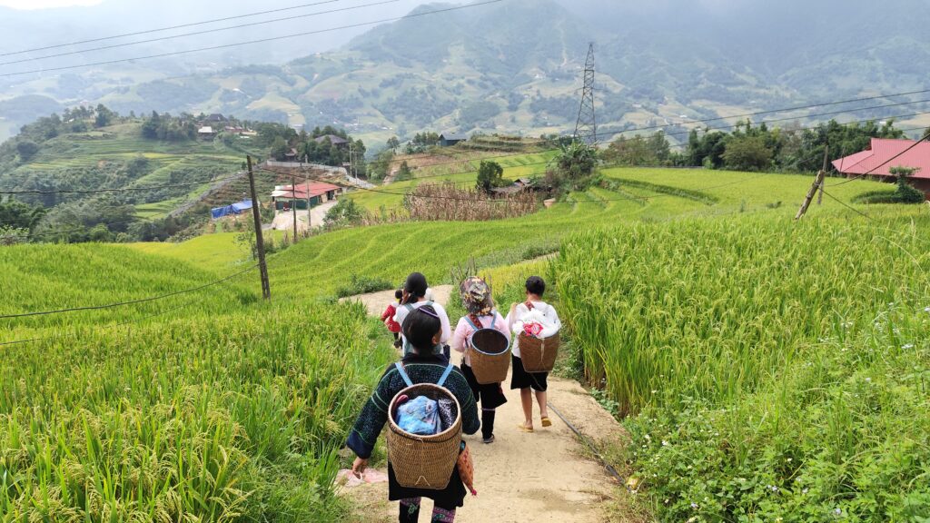 2 días en Sapa y Fansipan: la cima de Vietnam