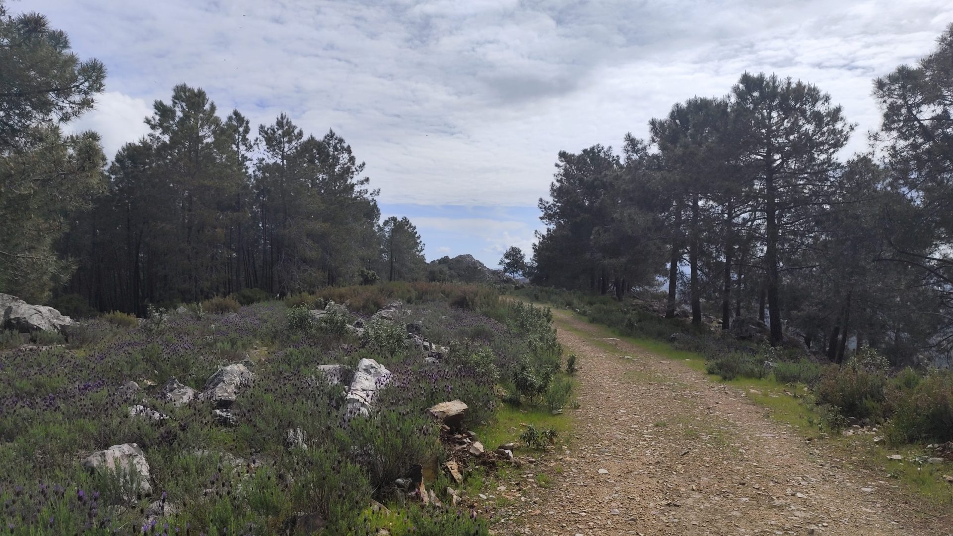 Paseo por la Sierra de Santa Catalina, Serradilla, Cáceres