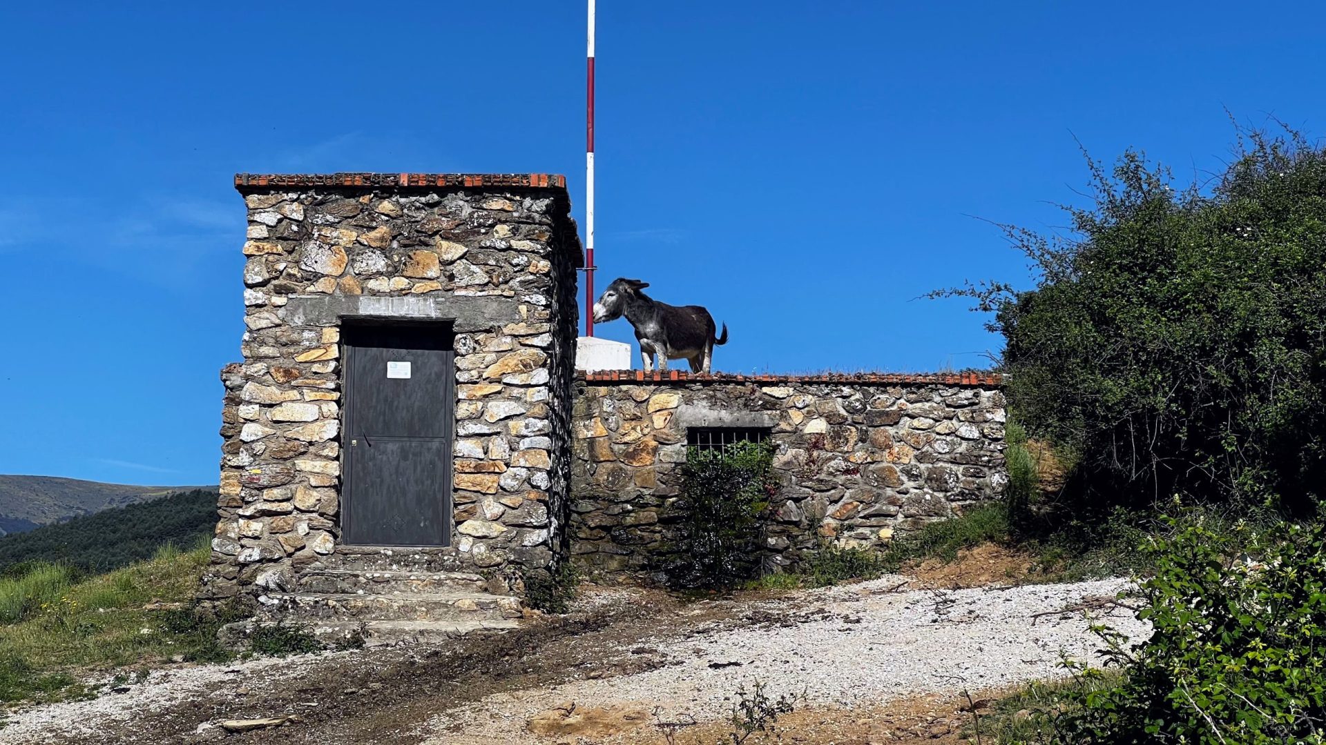 Burro en el tejado en Braojos de la Sierra.