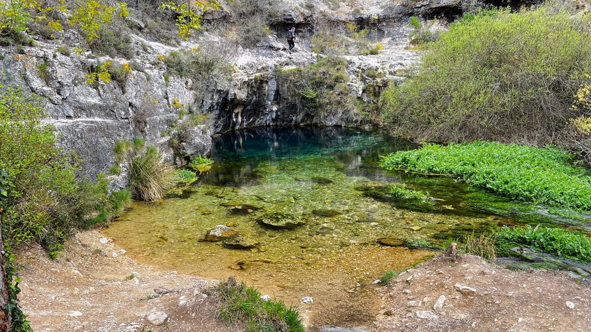 Poza azul.