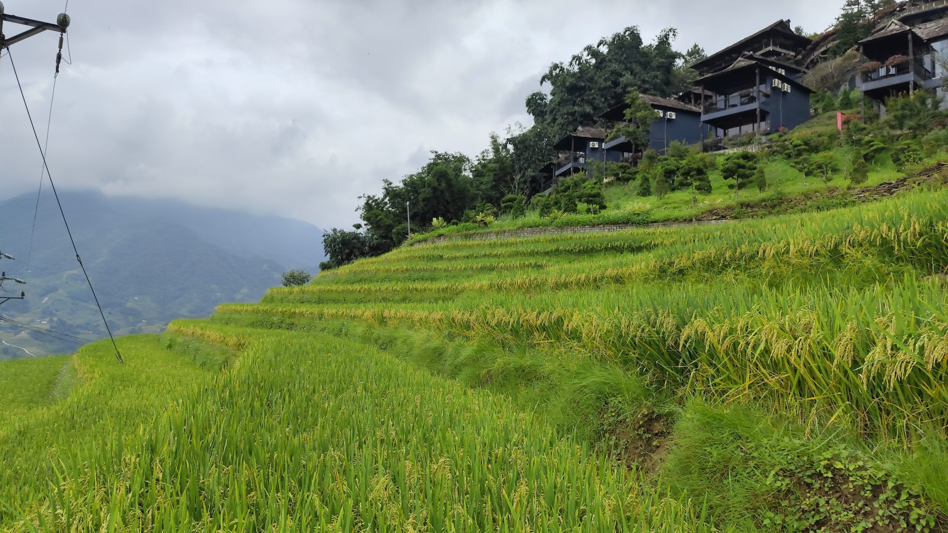 Arrozales de Sa Pa, Vietnam