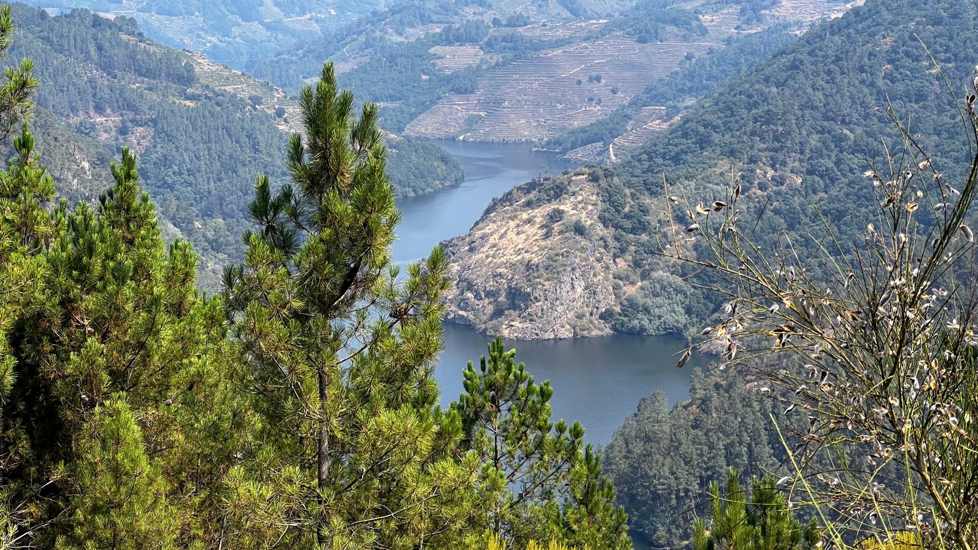 Mirador de la Ribeira Sacra, Lugo.