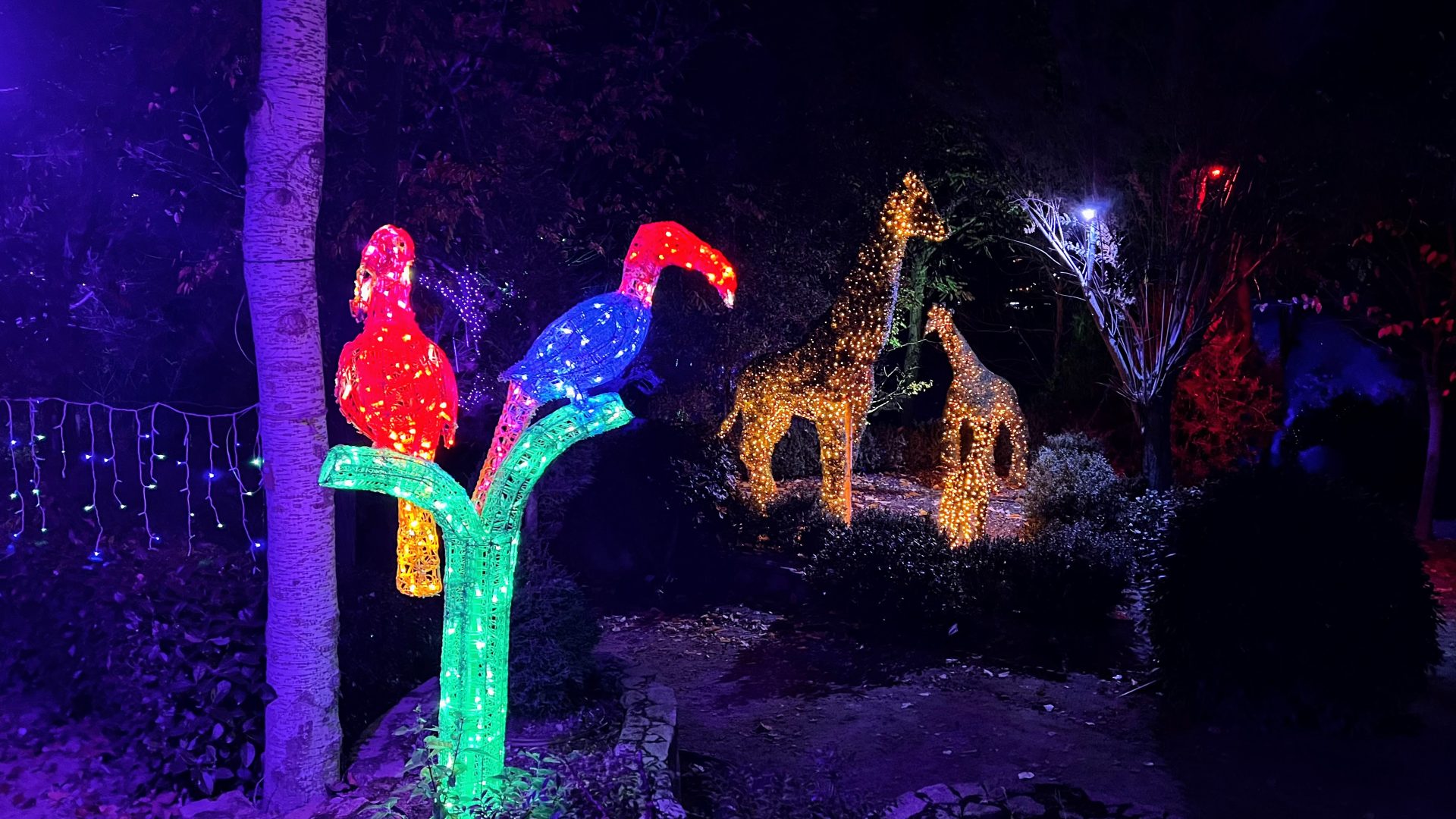 Bosque Encantado, San Martín de Valdeiglesias.