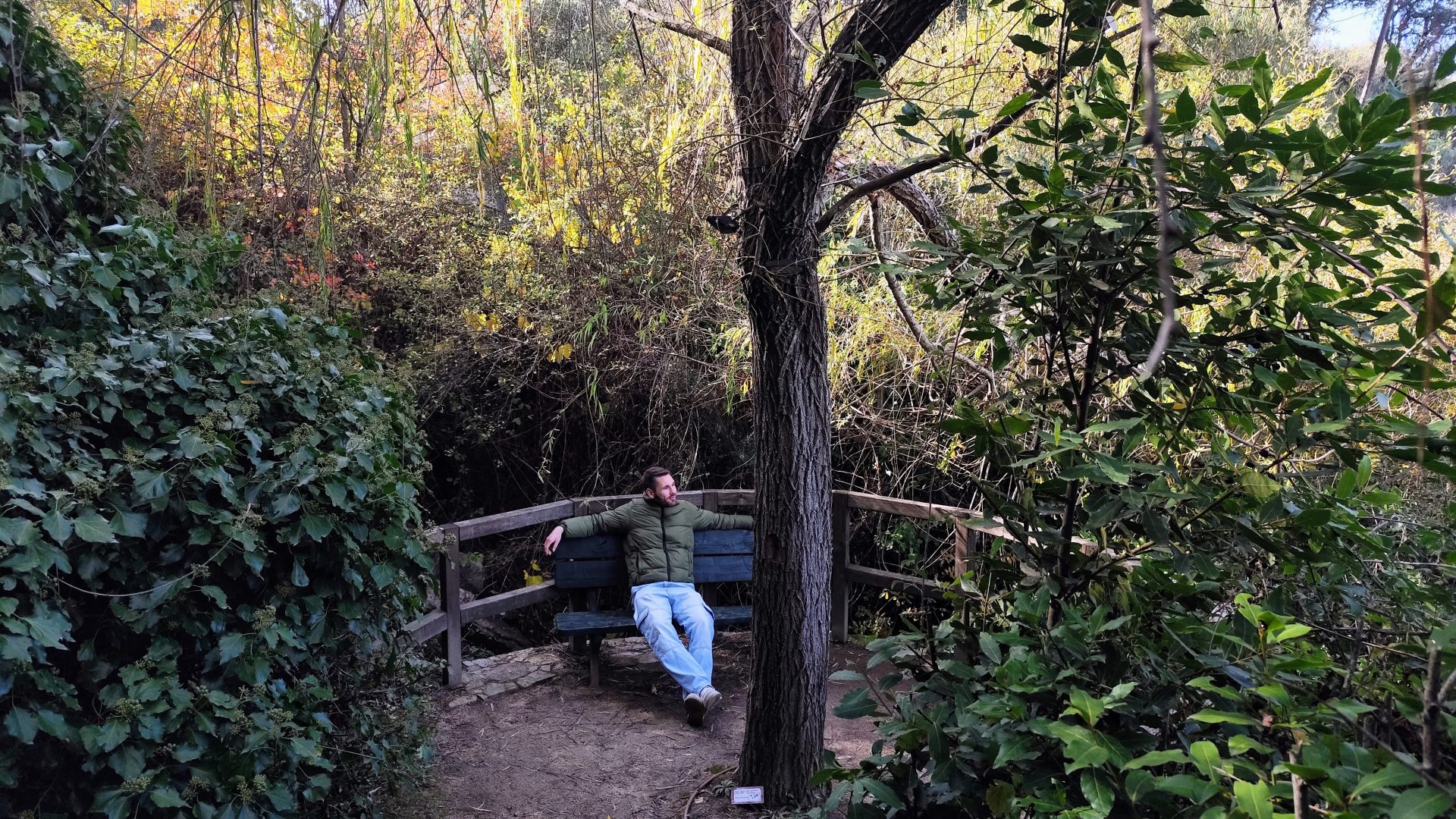 Mirador del Bosque encantado.