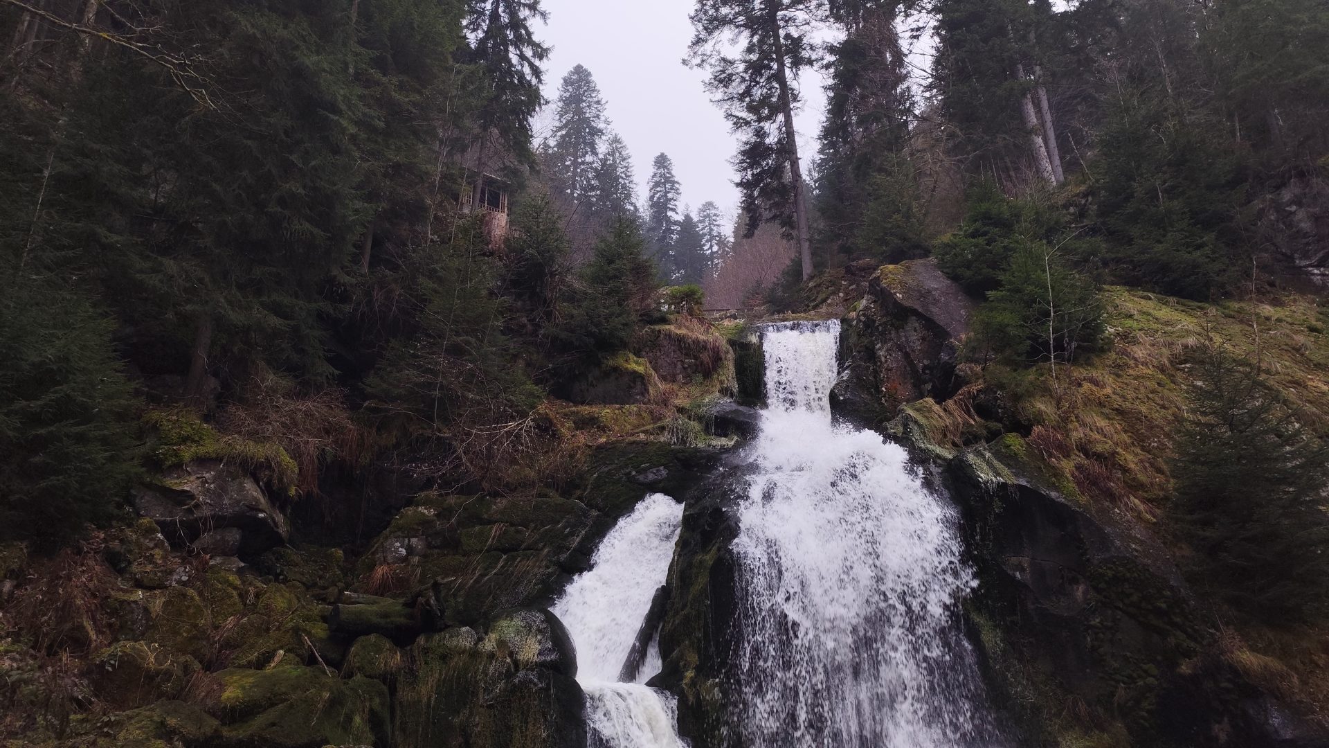 Cascadas de Triberg, Selva Negra (Schwarzwald), Alemania