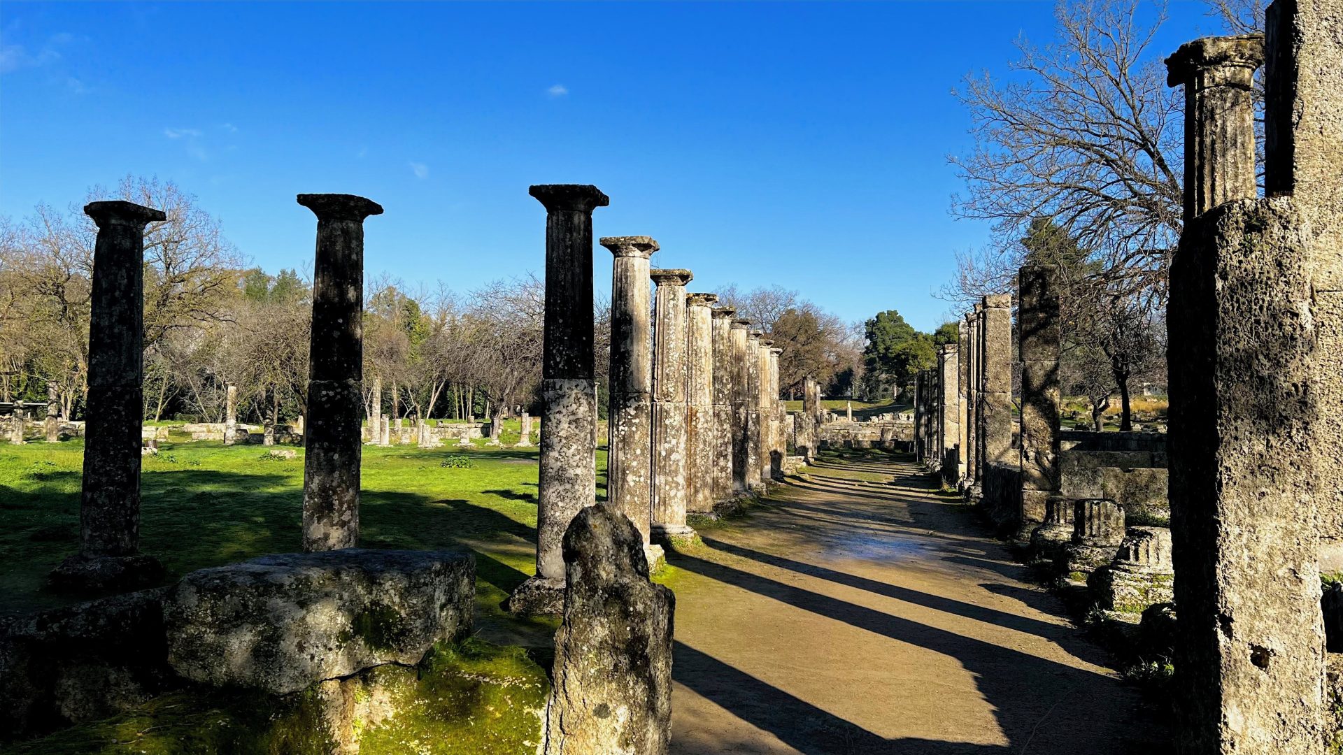 La Palestra, Olimpia.