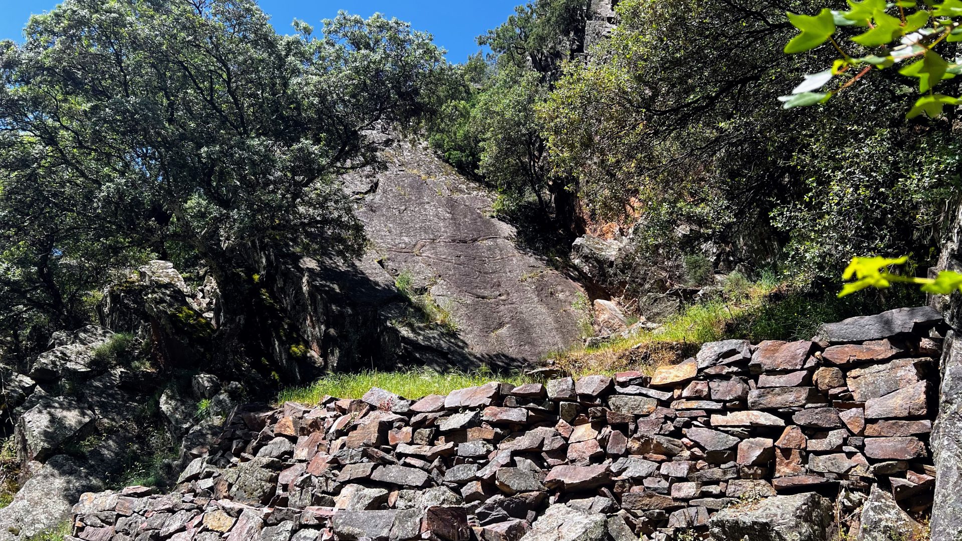 Fósiles de la Ruta del Boquerón del Estena.