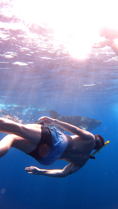 Aarón con el tiburón ballena.