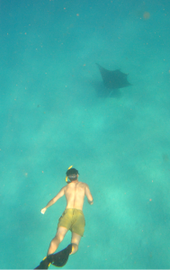Álvaro con la mantarraya.
