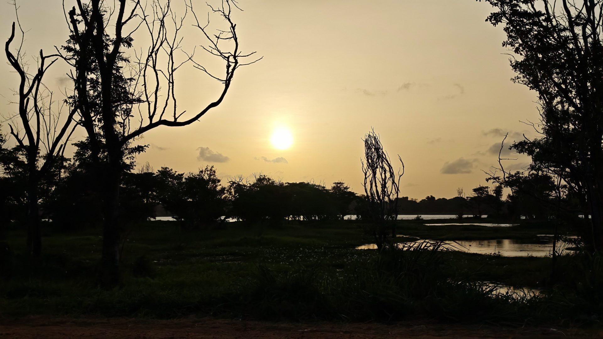 Atardecer en el Parque Nacional de Minneriya.