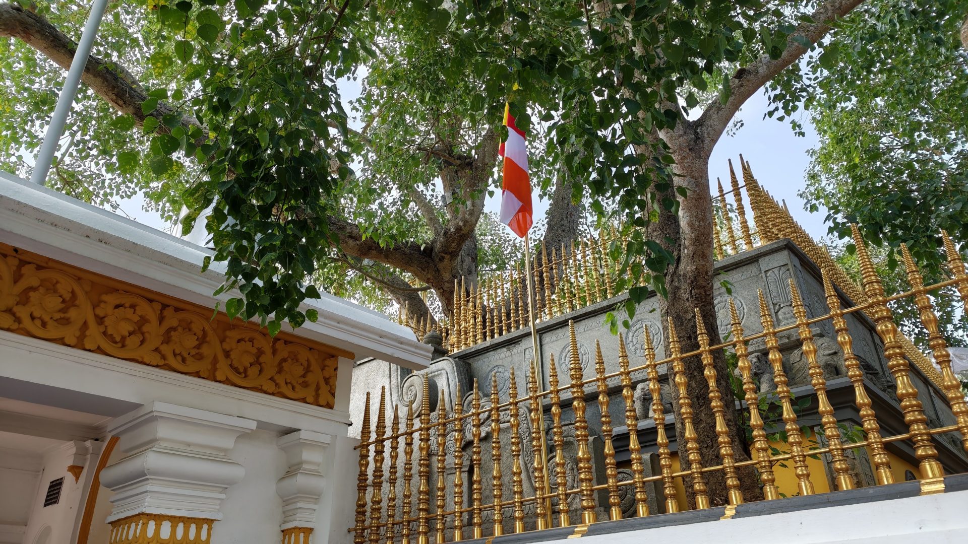 Sri Maha Bodhi, Anuradhapura.