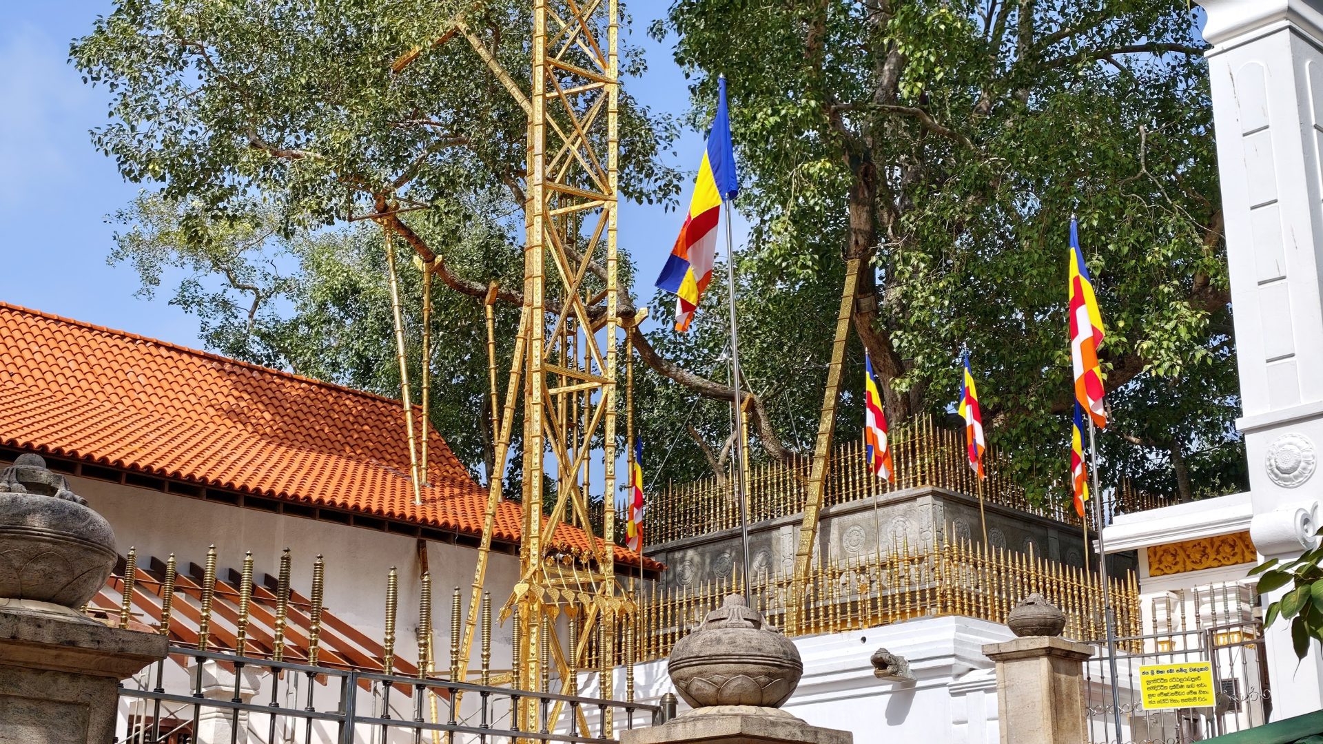 Sri Maja Bodhi, Sri Lanka.