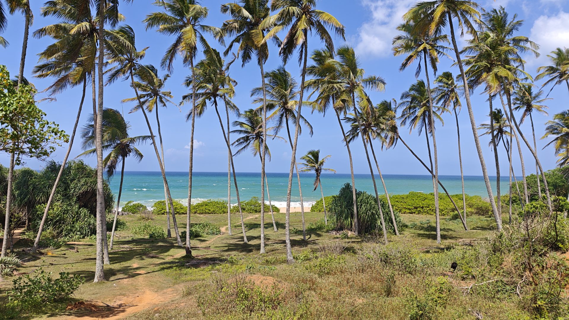 Playa de Rekawa, Sri Lanka